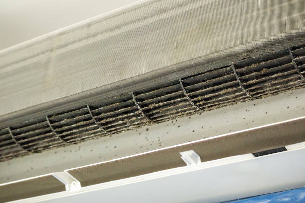 Affordable HVAC Duct Cleaning in Park City, IL